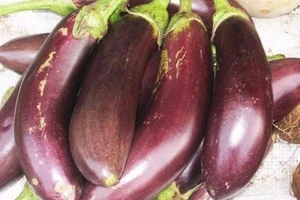 Infographic: 9 thực phẩm cực tốt cho người bị cao huyết áp