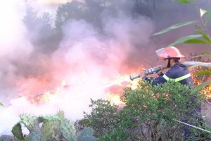 Cháy lớn ở bãi phế liệu công nghiệp