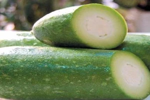 5 loại thực phẩm tốt nhất cho phụ nữ