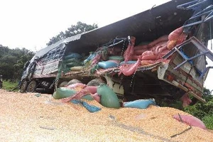 Tài xế buồn ngủ đâm xe chở bắp rồi lao xuống vực