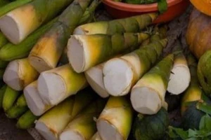 Các loại thực phẩm gây hại cho gan