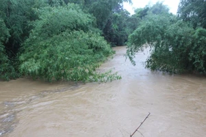 Quảng Ngãi: Xuất hiện lũ trên sông Trà Câu 