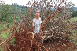 Nổ súng ở Đắk Nông: Tỉnh đã chỉ đạo xử lý nghiêm DN