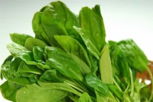 7 loại thực phẩm thay thế giúp giảm đầy bụng khó tiêu