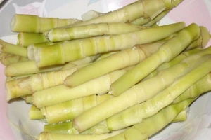 Những người nào tuyệt đối không nên ăn măng?