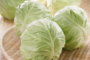 Những thực phẩm giúp bạn 'né' bệnh đường hô hấp