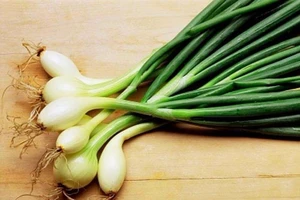 Ăn hành lá xanh mỗi ngày, điều kỳ diệu gì sẽ xảy ra
