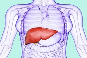 9 nguyên nhân không ngờ gây xơ gan, ung thư gan