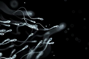 Tinh trùng đang thoái hóa với tốc độ khủng khiếp