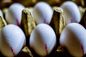Châu Âu thu hồi hàng triệu quả trứng có thuốc trừ sâu