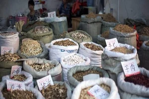 Phát hiện thuốc Bắc có liên quan đến ung thư gan