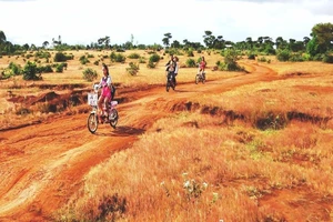 Ngắm 'đồi cỏ hồng cổ tích' Đắk Đoa