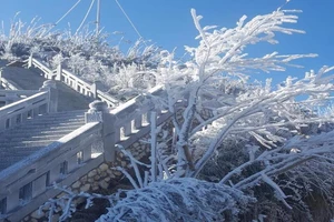 Ngắm băng tuyết phủ trắng đỉnh Fansipan