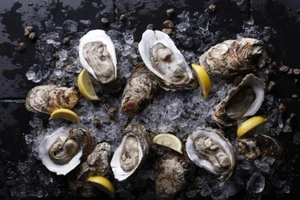 Người phụ nữ tử vong sau khi ăn hàu sống