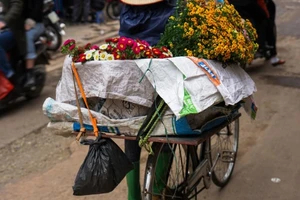 Vẻ đẹp của Việt Nam trên báo Anh