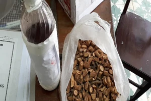 Chai rượu ngâm rễ cây làm 3 người chết có lẫn lá ngón