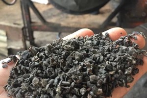 Đã xác định mục đích làm cà phê nhuộm pin