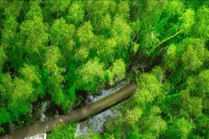 7 địa điểm 'đổi gió' cực lý tưởng dịp nghỉ lễ 30-4, 1-5