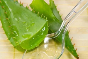 9 tác dụng phụ không ngờ của nha đam bạn cần phải biết