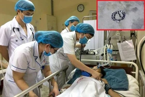 Đi soi cóc bị rắn cạp nia cắn, bé trai nguy kịch