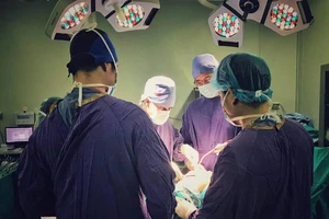 Người phụ nữ bị khỉ hàng xóm cắn trọng thương