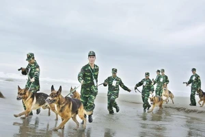 Chuyện về những 'chiến sĩ' cảnh khuyển 