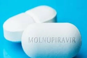 Bộ Y tế cấp phép khẩn 3 loại thuốc chứa Molnupiravir sản xuất trong nước