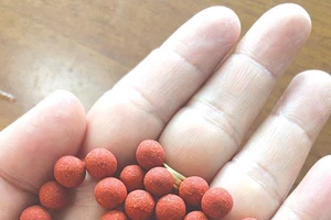 Ảnh: Suckhoedoisong.vn