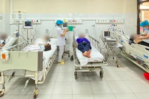 Đang chơi ở bìa rừng bất ngờ bị đàn ong khoái khổng lồ tấn công 