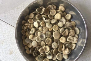 Ngộ độc rượu ngâm hạt mã tiền