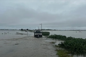 Quảng Trị mưa lớn, học sinh nhiều trường phải nghỉ học