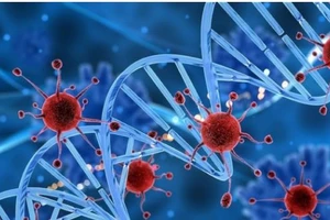 Không ít người mắc phải những sai lầm trong điều trị bệnh ung thư. Hình minh họa