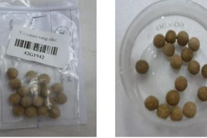 Phát hiện chất cấm trong thuốc trị tiểu đường không nguồn gốc