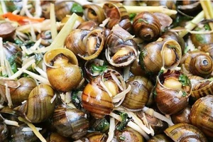 Bị bệnh gút có ăn ốc được không?