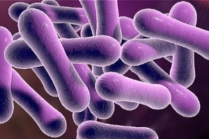 Thêm 1 ca dương tính với bệnh bạch hầu 