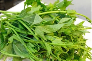 Bị bệnh tiểu đường có nên ăn rau khoai lang thay cơm?