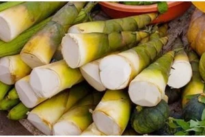 Người bị đau nhức xương khớp không nên ăn măng, tại sao?