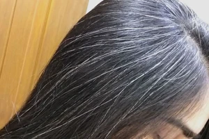 Thực hư đậu đen, hà thủ ô giúp tóc bạc sớm đen trở lại