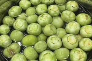 Ăn cà pháo, cà tím làm nặng thêm bệnh xương khớp?