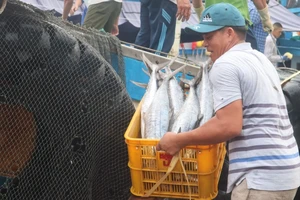 Gỡ thẻ vàng IUU: Suy ngẫm và hành động