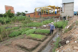 VKSND Tối cao giải đáp nhiều vướng mắc khi giải quyết tranh chấp đất đai