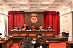 Luật sư, giảng viên đại học là nguồn để bổ nhiệm làm Thẩm phán TAND Tối cao