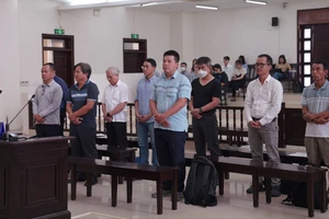 Bị buộc bồi thường 460 tỉ đồng, 5 nhà thầu vụ cao tốc Đà Nẵng - Quảng Ngãi kháng cáo 