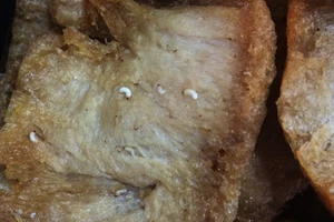 Kinh hoàng giòi, bọ lúc nhúc trong sườn non chay