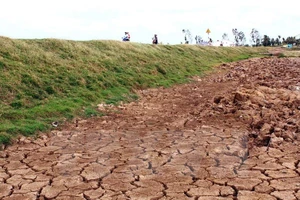 Hạn hán miền Trung: Tại trời chứ không do thủy điện 