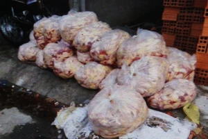 Phát hiện hàng trăm ký đầu gà, thịt heo thối 