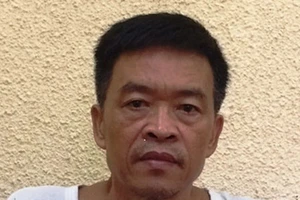 Nguyên Tổng giám đốc Vinashinlines bị khởi tố thêm tội