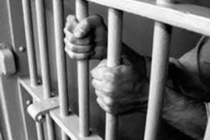 Đề nghị cấp giấy chứng nhận cho các luật sư vụ Đỗ Đăng Dư