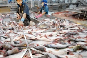 32.000 tấn thủy sản xuất khẩu bị trả về, tiêu thụ đâu?