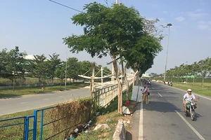 Gần chục nữ công nhân tại TP.HCM bị đâm kim vào ngực